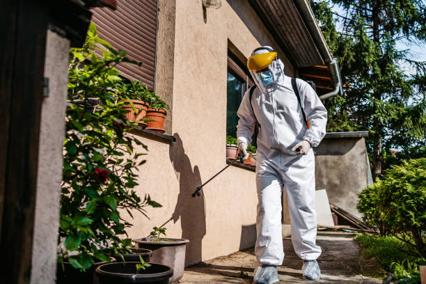 Best Best Pest Control Companies  in Shorewood Forest, IN