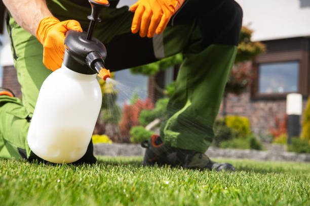 Best Flea Control Services  in Shorewood Forest, IN