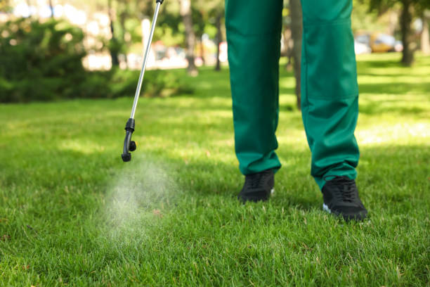 Best Ant Control Services  in Shorewood Forest, IN