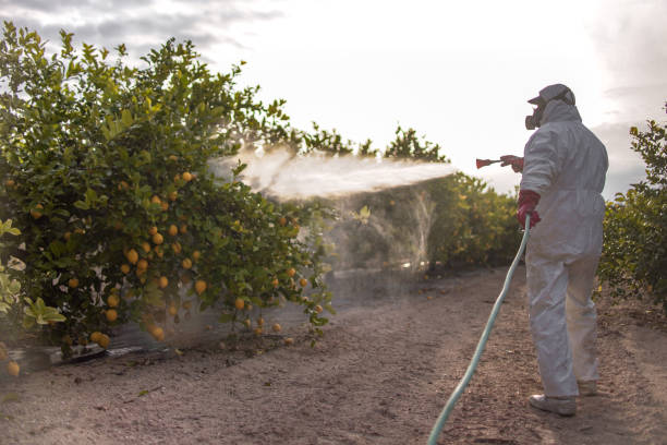 Professional Pest Control in Shorewood Forest, IN