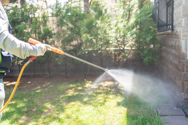 Best Residential Pest Control  in Shorewood Forest, IN