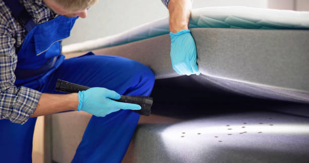 Best Wasp Removal Services  in Shorewood Forest, IN