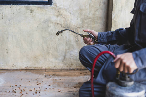 Best Local Pest Control Services  in Shorewood Forest, IN